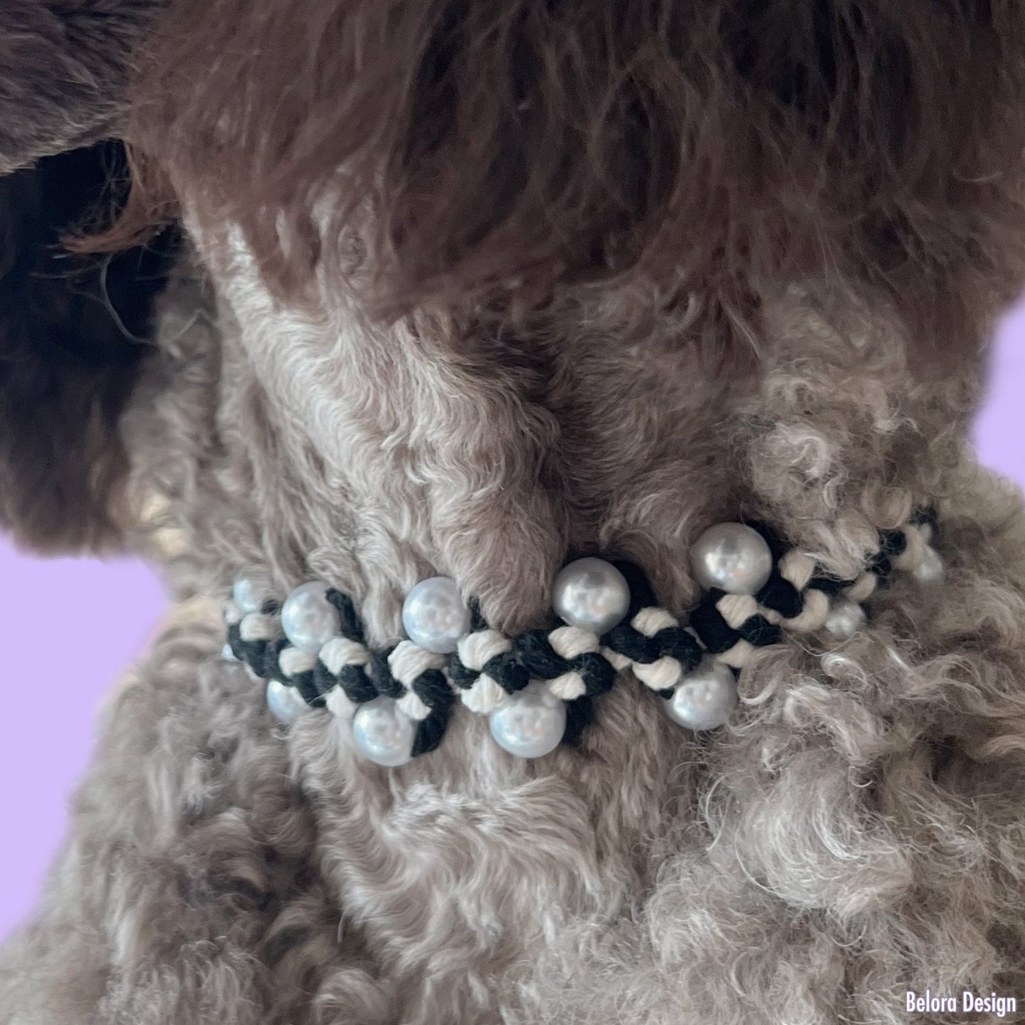 Handcrafted Pearl Pet Necklace: Black & White Knotted Cord-Midnight