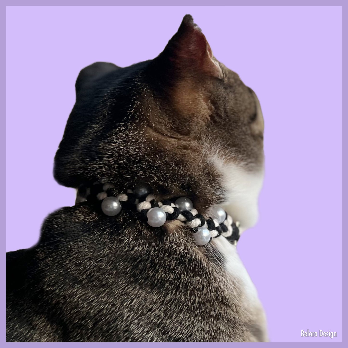 Handcrafted Pearl Pet Necklace: Black & White Knotted Cord-Midnight